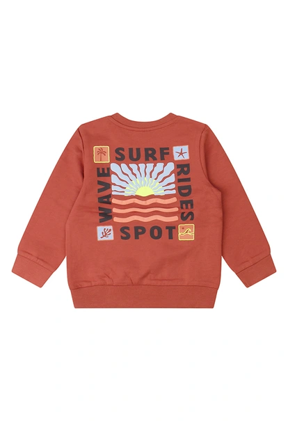 FLINQ baby jongens sweater